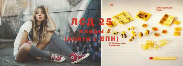 прущие грибы Абаза