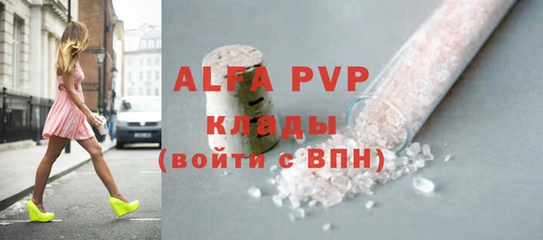 прущие грибы Абаза