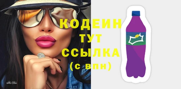 прущие грибы Абаза