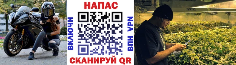 дарнет шоп  Псков  Каннабис ГИДРОПОН 